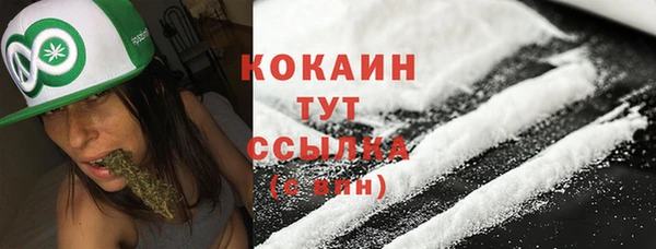 таблы Козельск