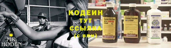 прущий лед Козловка