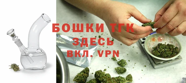 прущий лед Козловка