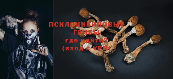 таблы Козельск
