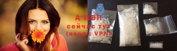 таблы Козельск