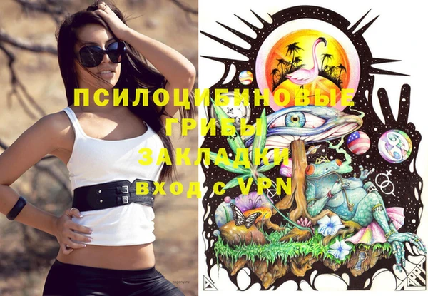 прущий лед Козловка